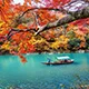 海星体育baolong