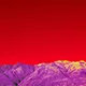 海星体育baolong